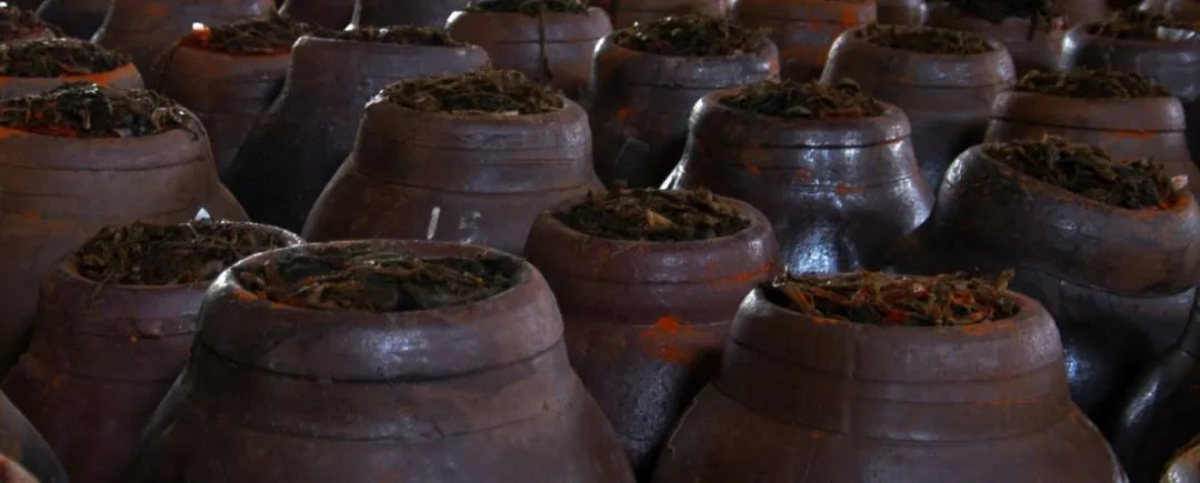 GA黄金甲(中国游)最新官方网站